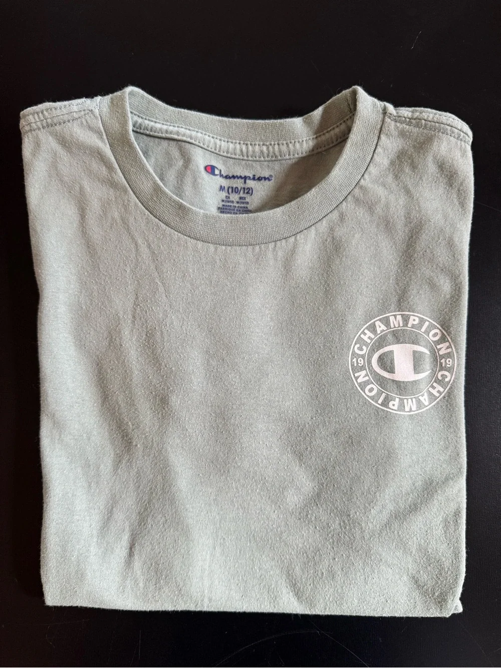Champion Men's Sage Green Short Sleeve Tee with White Logo
